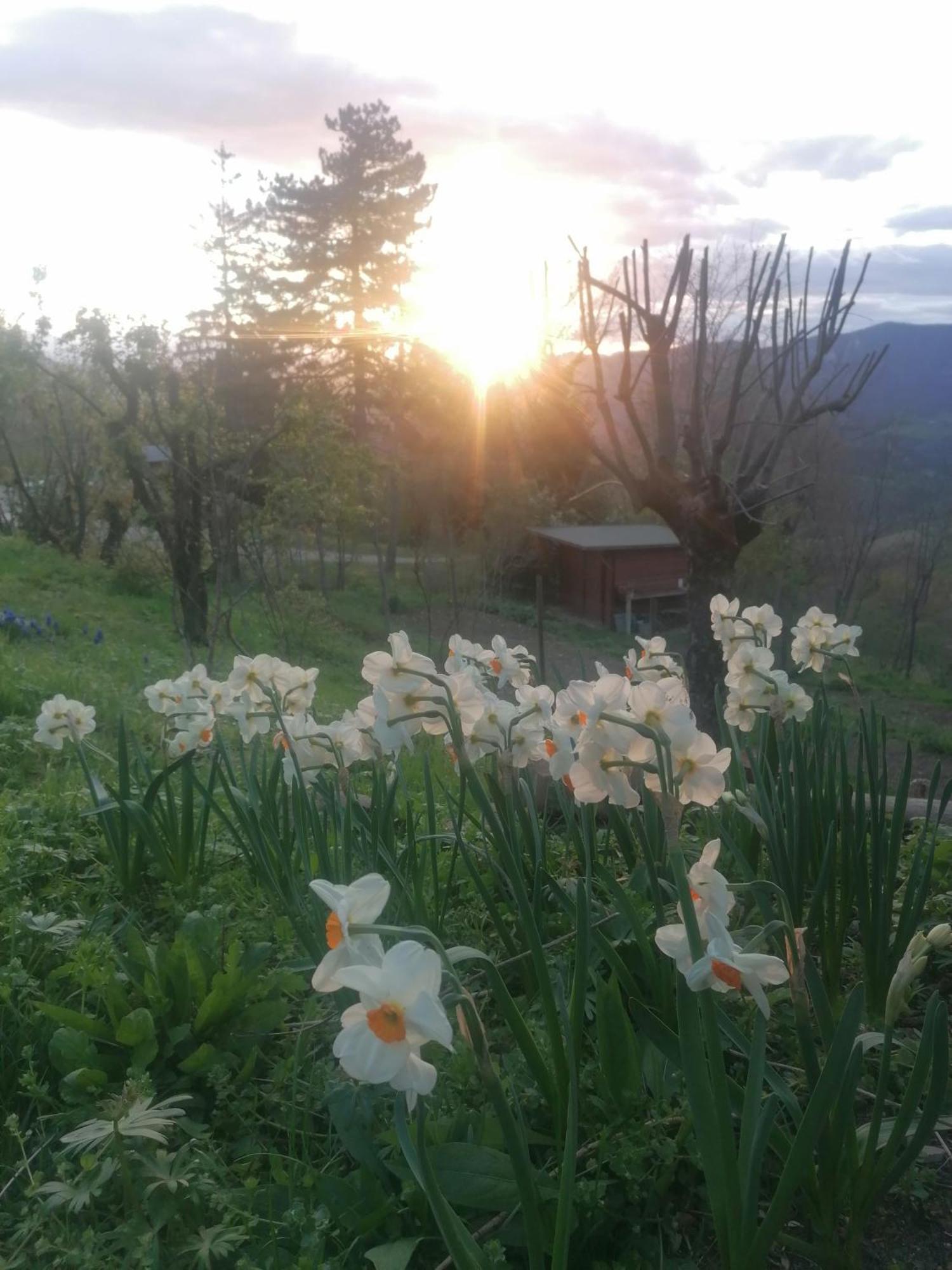 Valle Ca' Dei Ste住宿加早餐旅馆 外观 照片
